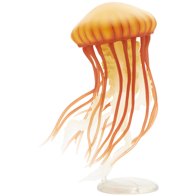 Jellyfish Gashapon Figure Kita - огляд і ціна Outdoor Lighting Jellyfish