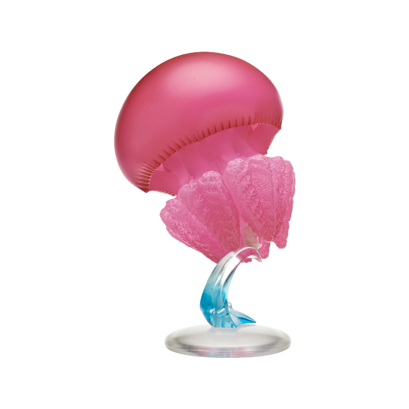 Jellyfish Gashapon Figure Kita - огляд і ціна Outdoor Lighting Jellyfish
